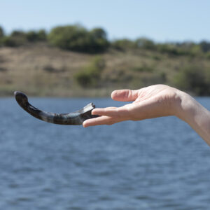Fathom Dildo - S - Dark sediment